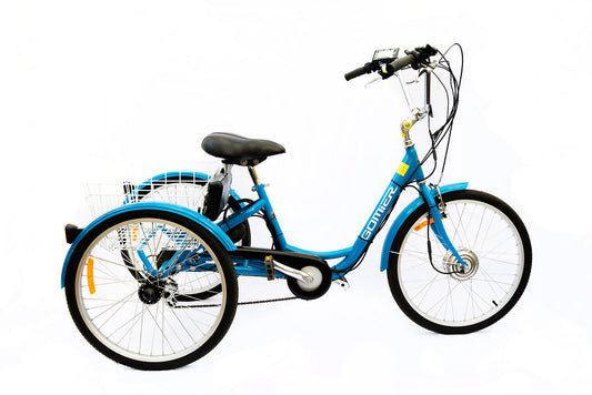 Gomier Converted Tricycle